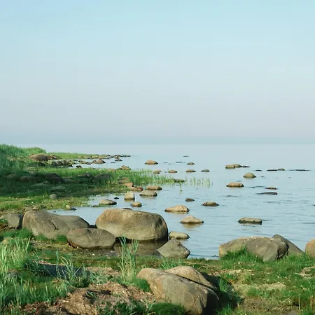 Kusagil Nature & Sauna Near Paernu Holiday home Tahkuranna